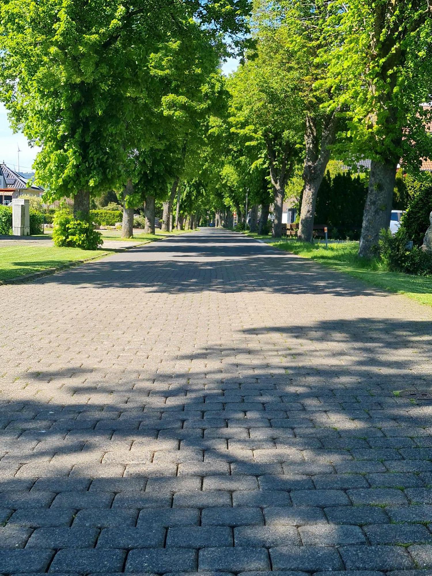 Ferienwohnungen Lindenallee Morbach Exterior photo